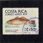 Sellos del Mundo : America : Costa_Rica : Defensa de la Fauna marina Nacional