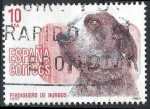Stamps Spain -  2711 Perdiguero de Burgos.