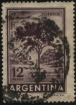 Stamps Argentina -  Schinopsis balansae. Riqueza forestal. Bosques de quebracho colorado. 