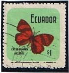 Stamps Ecuador -  Catagramma Astaate