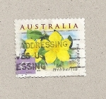 Sellos de Oceania - Australia -  Flor Hibberia scandens