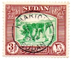Stamps : Africa : Sudan :  FILIGRANA-C-1951