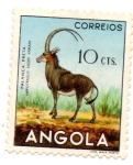 Stamps : Africa : Angola :  PALANCA PRETA