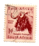 Stamps : Africa : South_Africa :  -SAID-AFRIKA