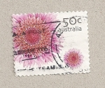 Stamps : Oceania : Australia :  Margarita de los pantanos