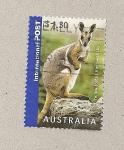 Stamps Australia -  Wallaby de las rocas