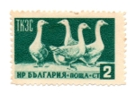 Stamps Bulgaria -  PROPAGANDA DE ECONOMIA