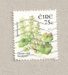 Stamps Ireland -  Planta Umbilicus rupestris