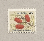 Stamps : Oceania : Australia :  Planta Callistemon teretifolius