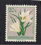 Stamps Belgium -  Vellozia