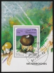 Stamps Afghanistan -  SETAS-HONGOS: 1.100.017,00-Lycoperdon umbrinum