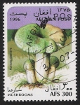 Sellos de Asia - Afganist�n -  SETAS-HONGOS: 1.100.012,01-Russula virescens -Dm.996.2-Y&T1501-Mch.1669-Sc.1385