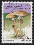 Stamps : Asia : Afghanistan :  SETAS-HONGOS: 1.100.015,01-Macrolepiota prócera -Dm.996.5-Y&T1504-Mch.1672-Sc.1388