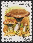 Stamps Asia - Afghanistan -  SETAS-HONGOS: 1.100.021,01-Gonfidius glutinosus -Dm.998.9-Mch.1761-Sc.1470