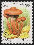 Stamps Afghanistan -  SETAS-HONGOS: 1.100.022,01-Collybia fusipes  -Dm.998.10-Mch.1762-Sc.1471