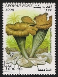 Stamps Afghanistan -  SETAS-HONGOS: 1.100.024,01-Craterellus cornucopioides -Dm.998.12-Mch.1764-Sc.1473