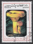 Stamps Afghanistan -  SETAS-HONGOS: 1.100.034,01-Lactarius deterrimus -Mch.1845