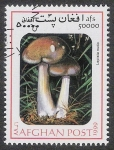 Sellos del Mundo : Asia : Afganistn : SETAS-HONGOS: 1.100.035,01-Lepista nuda -Mch.1846