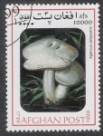 Stamps Afghanistan -  SETAS-HONGOS: 1.100.031,02-Agaricus campestris -Mch.1842