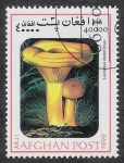 Stamps Afghanistan -  SETAS-HONGOS: 1.100.034,02-Lactarius deterrimus -Mch.1845