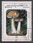 Stamps Afghanistan -  SETAS-HONGOS: 1.100.035,02-Lepista nuda -Mch.1846