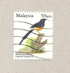 Sellos del Mundo : Asia : Malasia : Ave Copsychus malabaricus