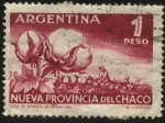 Stamps Argentina -  Cosecha de algodón. Nueva provincia del Chaco.