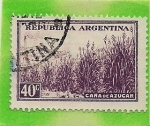Stamps : America : Argentina :  Caña de Azucar