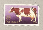 Sellos del Mundo : Europa : Polonia : Vaca