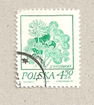 Stamps Poland -  Planta