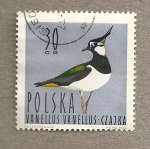 Stamps Poland -  Ave Vanellus vanellu