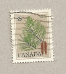 Stamps Canada -  Rama de pino