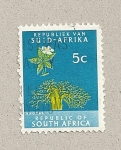 Stamps South Africa -  Baobab