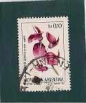 Stamps Argentina -  Ceibo