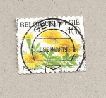 Stamps Belgium -  Flores amarillas