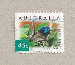 Stamps Australia -  Pájaro cabeza azulada