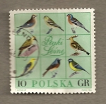 Sellos del Mundo : Europa : Polonia : Aves diversas