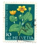 Stamps Switzerland -  TIMBRES-PRO-JUVENTUD-1959(Seriede3 valores)