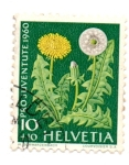 Stamps Switzerland -  TIMBRES-PRO-JUVENTUD-1960(Seriede3 valores)