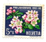 Stamps Switzerland -  TIMBRES-PRO-JUVENTUD-1962(Serie de 5 valores)