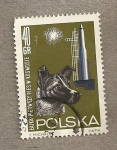 Stamps : Europe : Poland :  Perrita Laika