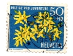 Stamps : Europe : Switzerland :  TIMBRES-PRO-JUVENTUD-1962(Serie de 5 valores)