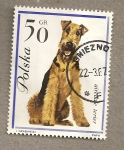 Stamps Poland -  Perro terrier