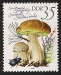 Stamps Germany -  SETAS-HONGOS: 1.152.025,02-Boletus edulis -Dm.980.83-Y&T2214-Mch.2555-Sc.2141