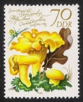 Stamps Germany -  SETAS-HONGOS: 1.152.026,02-Cantharellus cibariu -Dm.980.84-Y&T2215-Mch.2556-Sc.2142