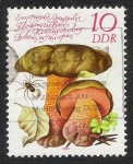 Stamps Germany -  SETAS-HONGOS: 1.152.022,03-Boletus miriatoporus -Dm.980.80-Y&T2211-Mch.2552-Sc.2138