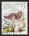 Stamps Germany -  SETAS-HONGOS: 1.152.023,03-Agaricus campestris -Dm.980.81-Y&T2212-Mch.2553-Sc.2139