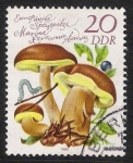 Stamps Germany -  SETAS-HONGOS: 1.152.024,03-Xerocomus badius -Dm.980.82-Y&T2213-Mch.2554-Sc.2140