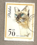 Stamps Poland -  Gato syjamski