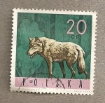 Stamps Poland -  Lobo